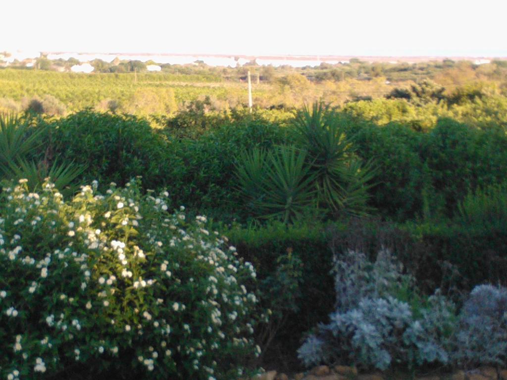 Maison d'hôtes Quinta Da Moura Casa-De-Campo à Tavira Extérieur photo