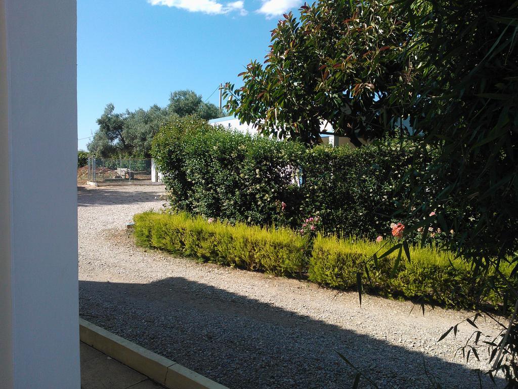 Maison d'hôtes Quinta Da Moura Casa-De-Campo à Tavira Extérieur photo