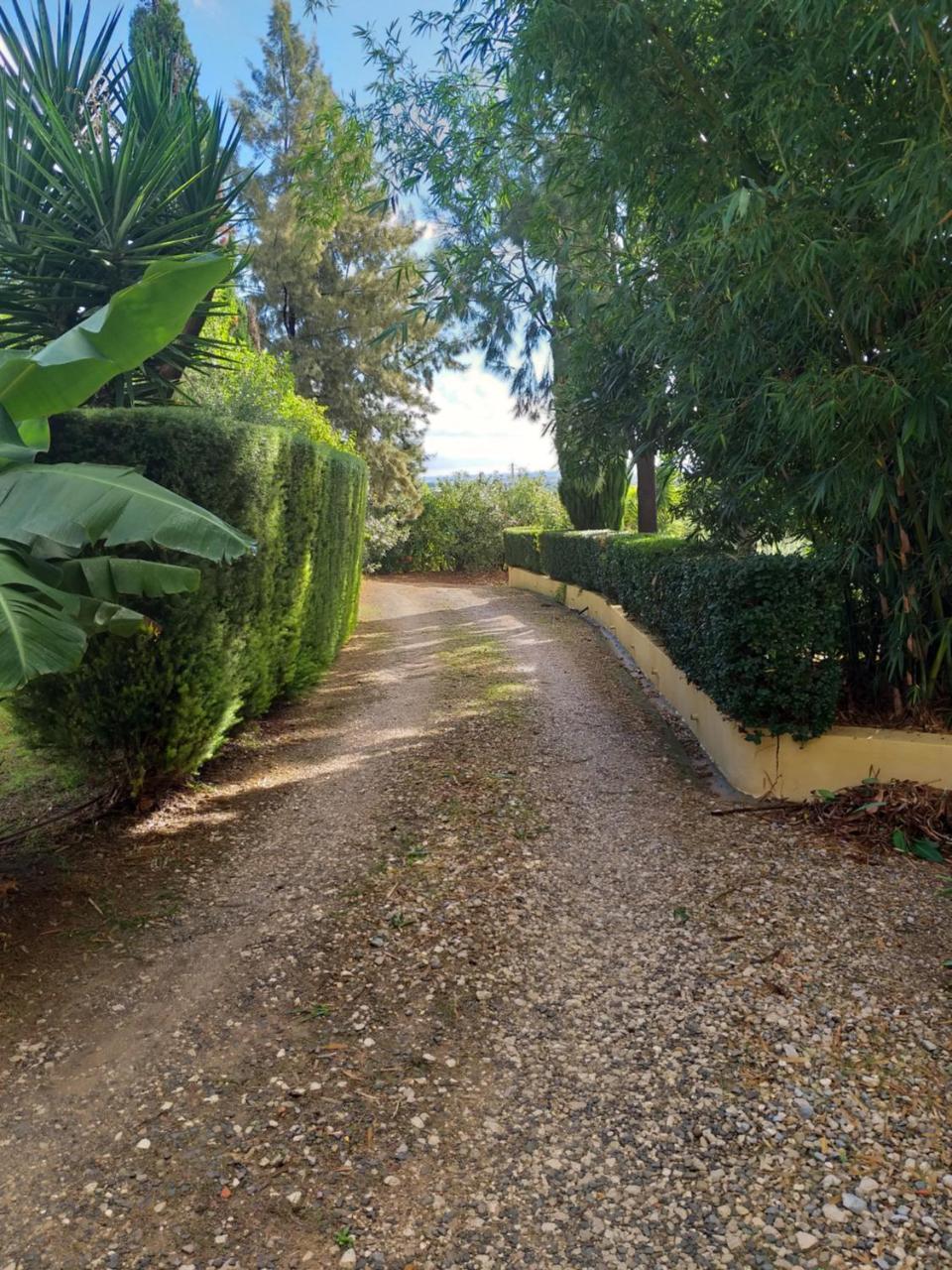 Maison d'hôtes Quinta Da Moura Casa-De-Campo à Tavira Extérieur photo